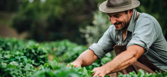 Cultivating the Future with Our Roots in the Earth